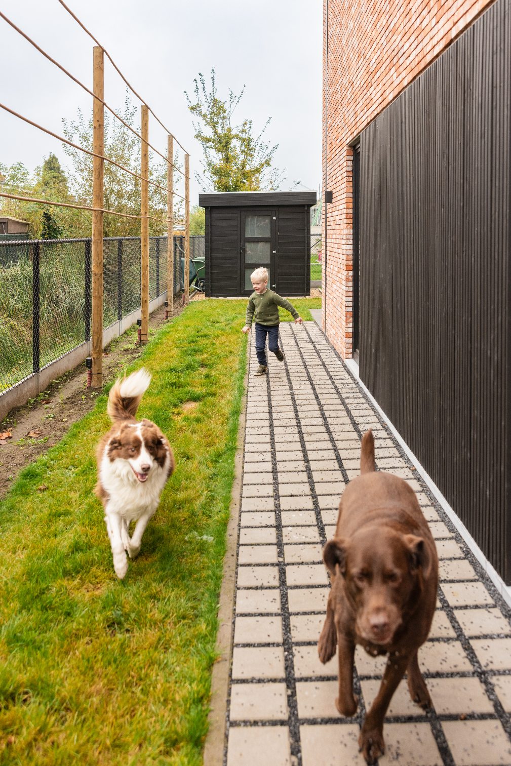 Leon loopt achter de honden aan