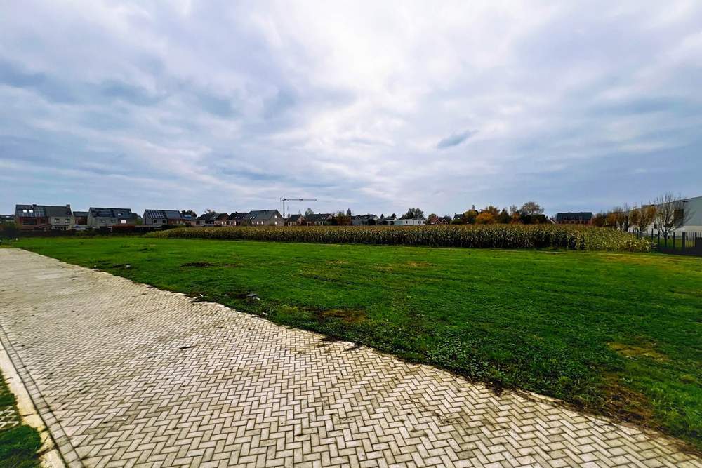 Nieuwbouw, appartementen en bouwgrond Brecht